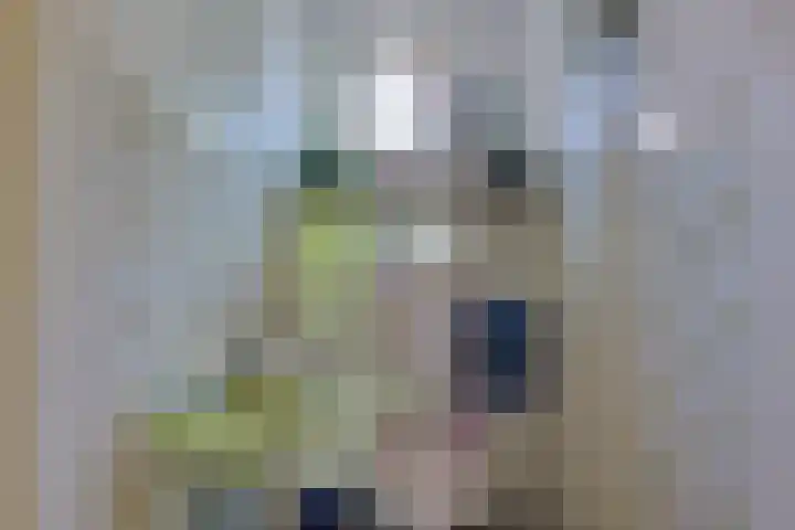 Brunsting 7 Beilen thumbnail 14