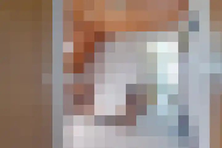 Brunsting 7 Beilen thumbnail 15