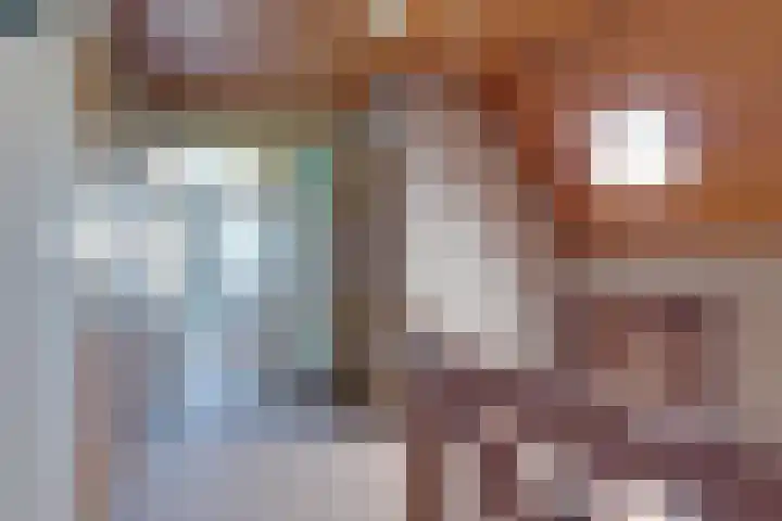 Brunsting 7 Beilen thumbnail 18