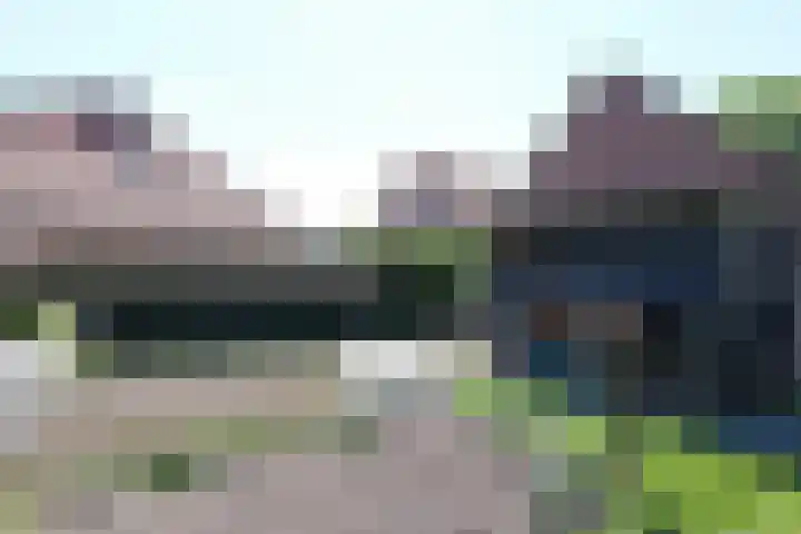 Brunsting 7 Beilen thumbnail 23