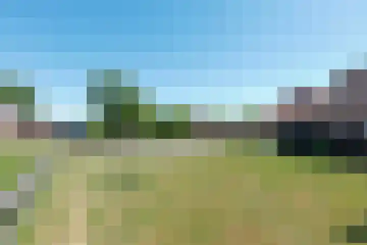 Brunsting 7 Beilen thumbnail 25