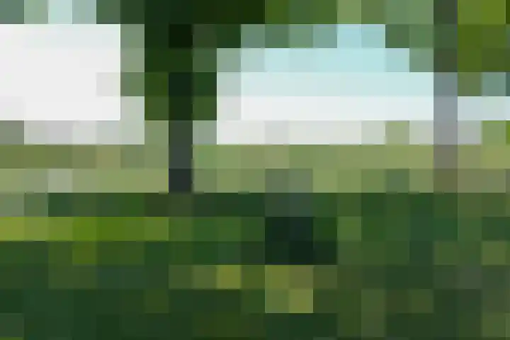 Brunsting 7 Beilen thumbnail 28