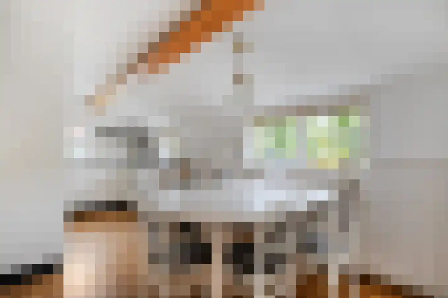 Brunstingerstraat 36 Beilen thumbnail 12