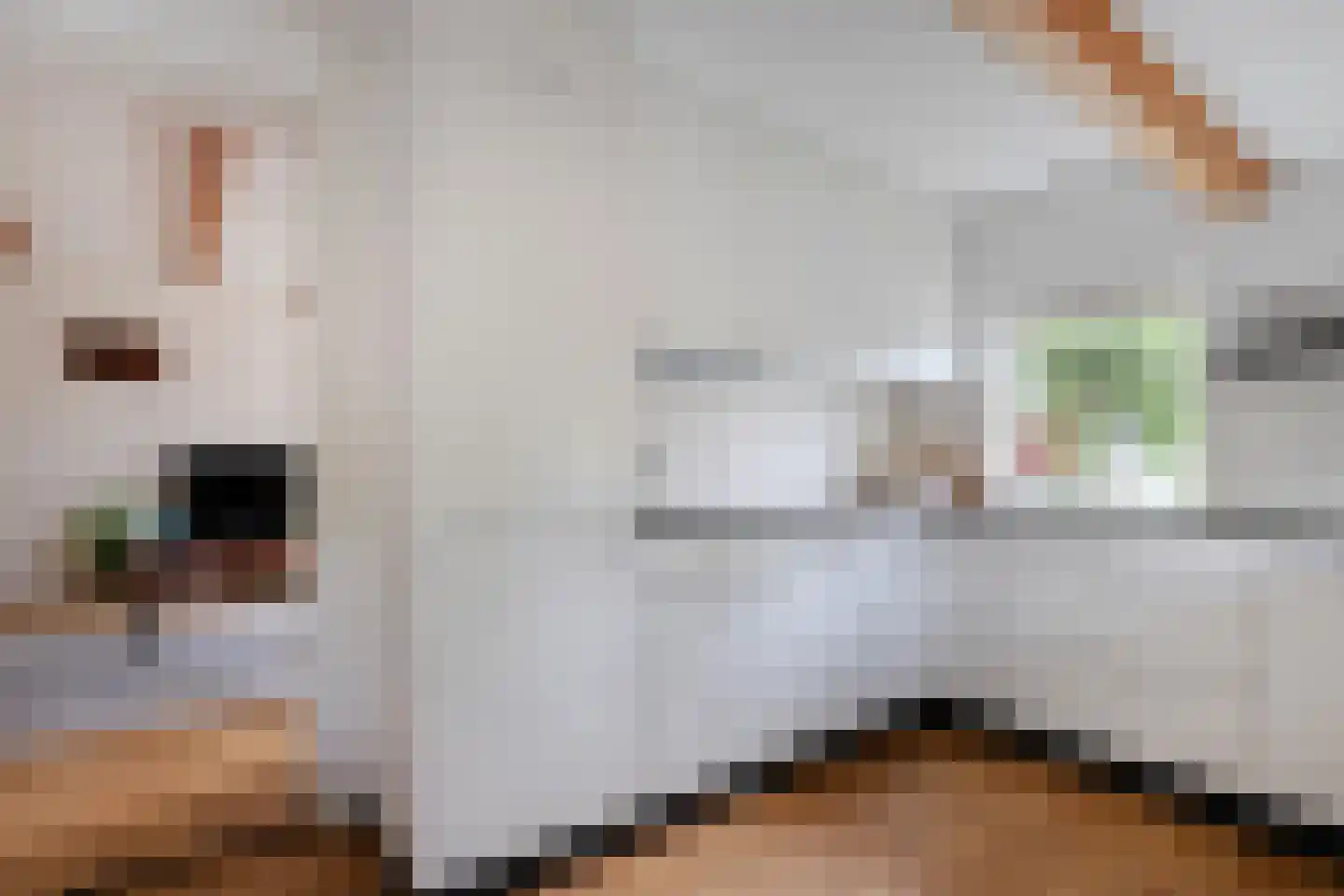 Brunstingerstraat 36 Beilen thumbnail 13