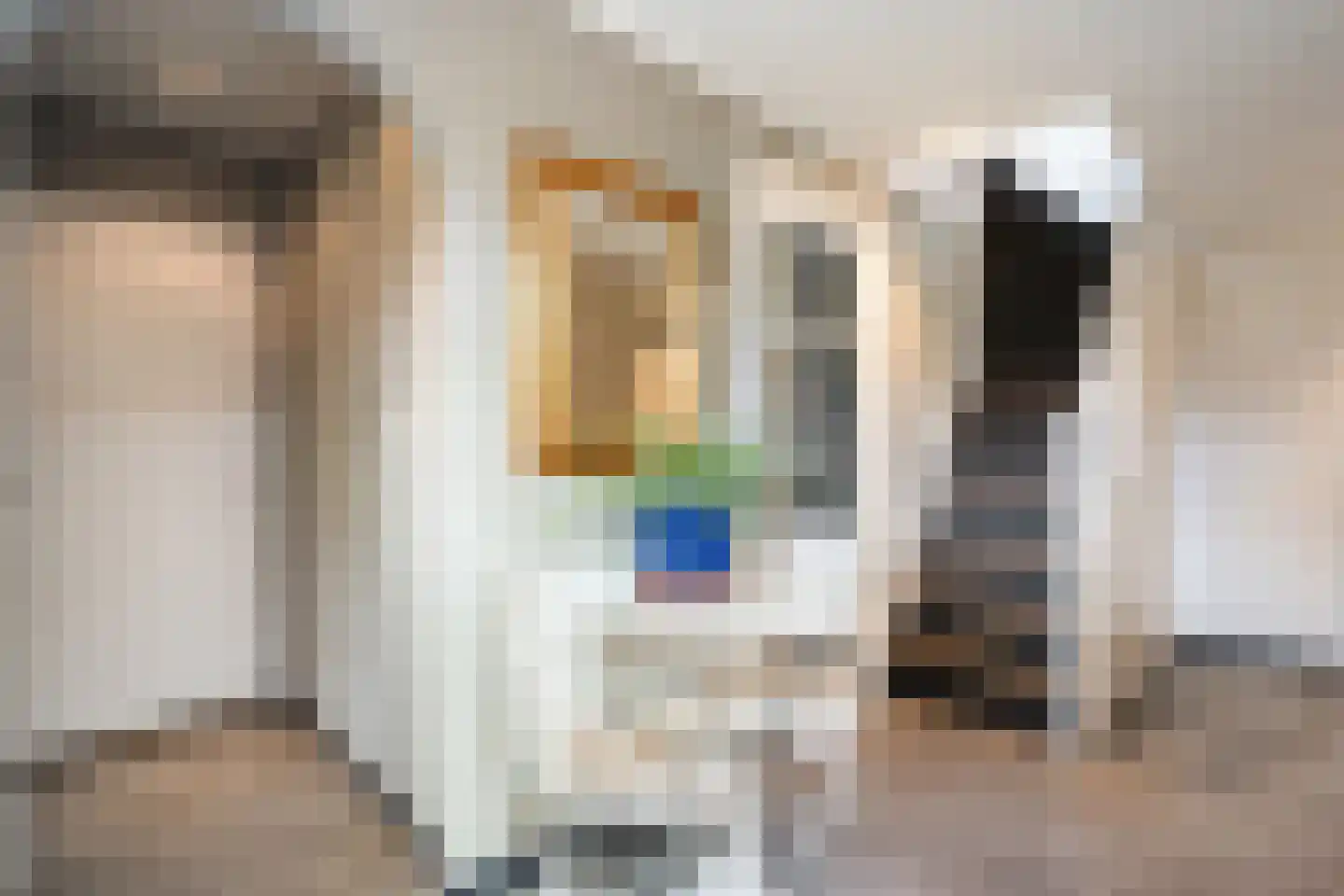 Brunstingerstraat 36 Beilen thumbnail 17