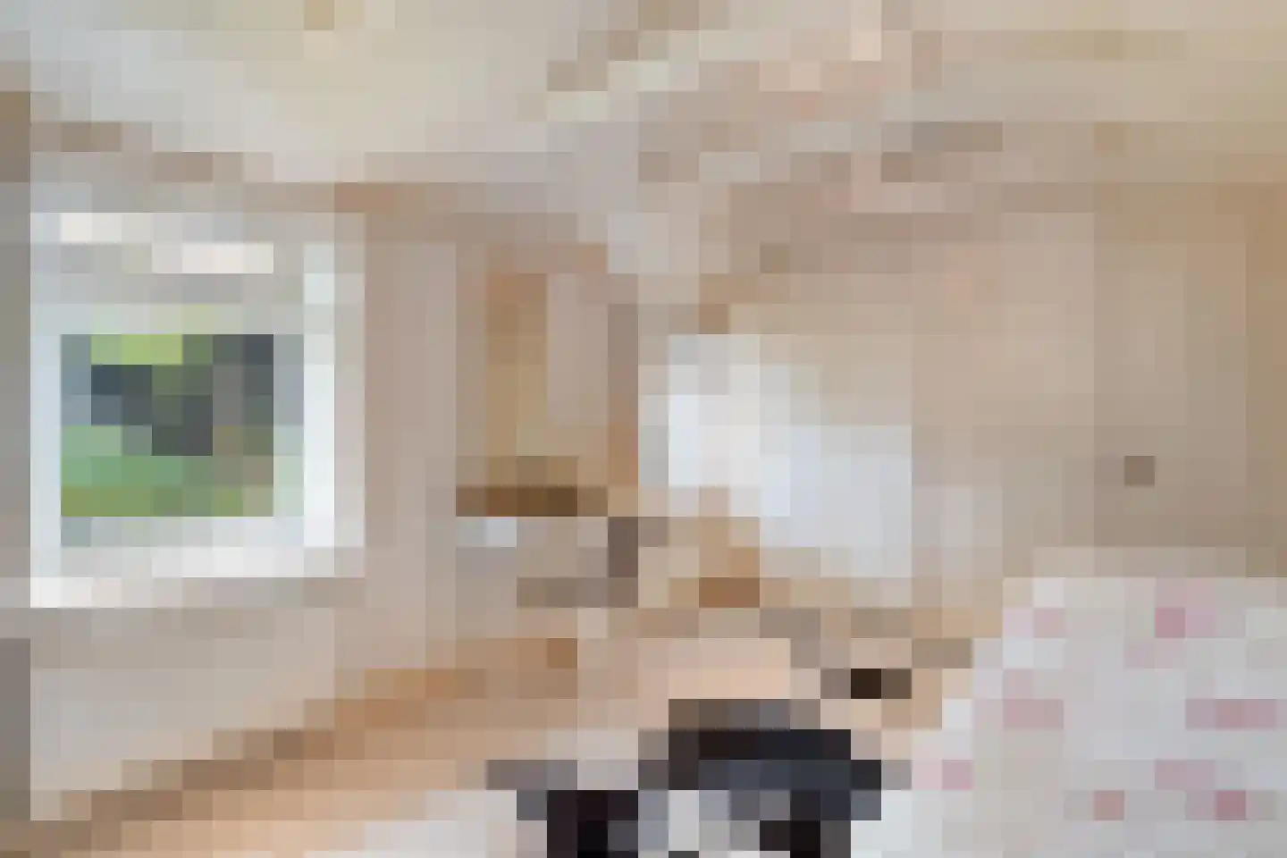 Brunstingerstraat 36 Beilen thumbnail 21