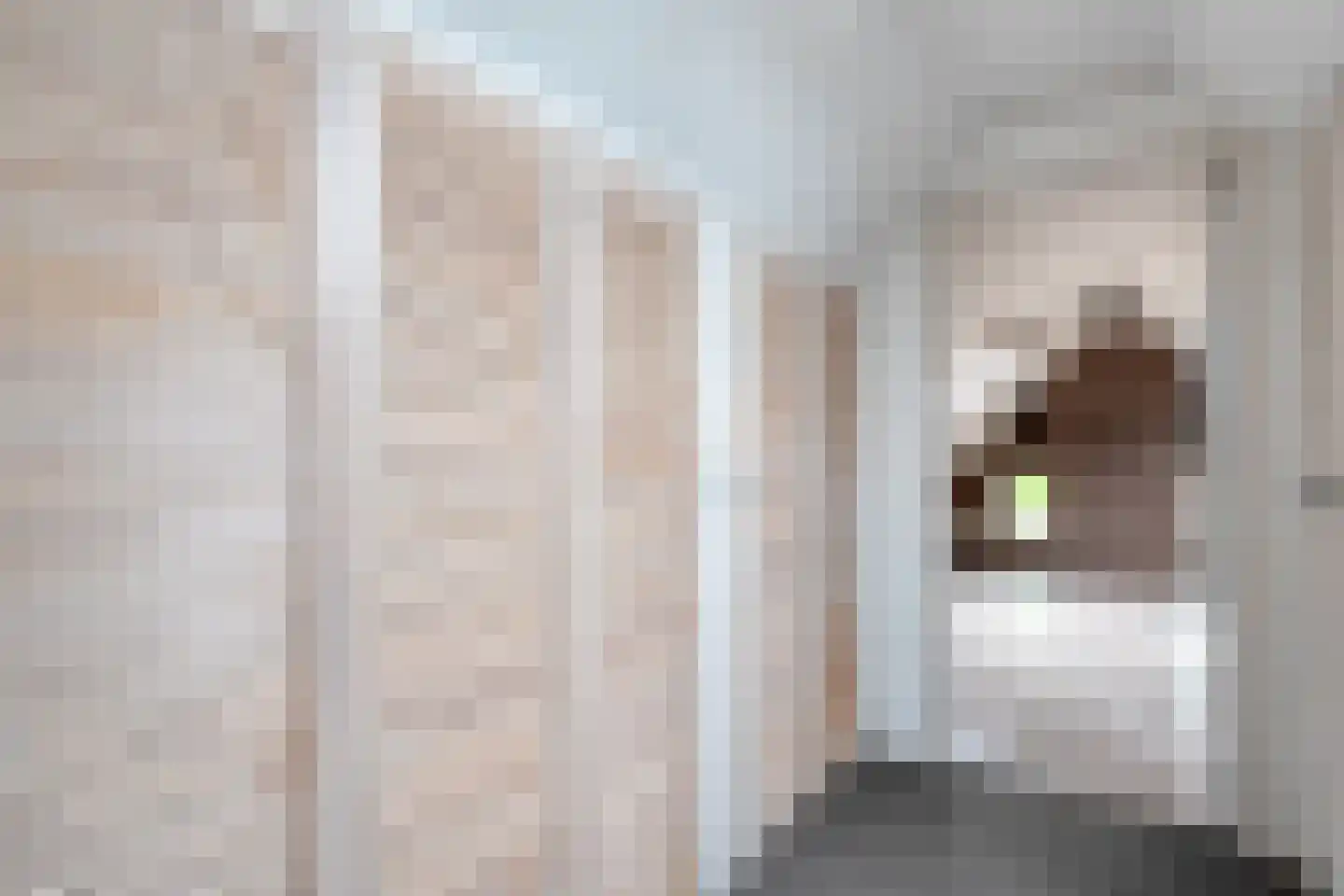 Brunstingerstraat 36 Beilen thumbnail 24