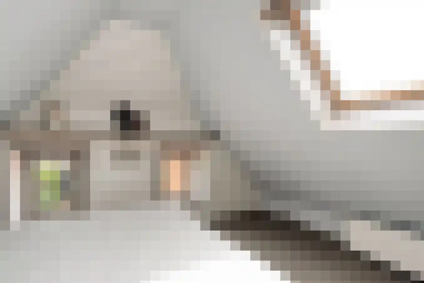 Brunstingerstraat 36 Beilen thumbnail 25