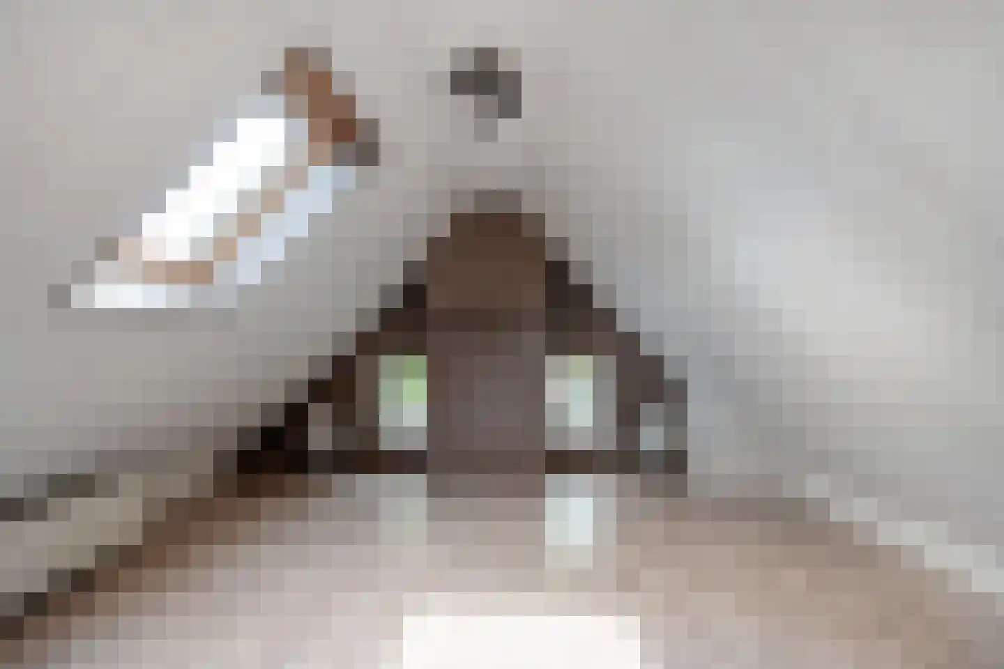Brunstingerstraat 36 Beilen thumbnail 27