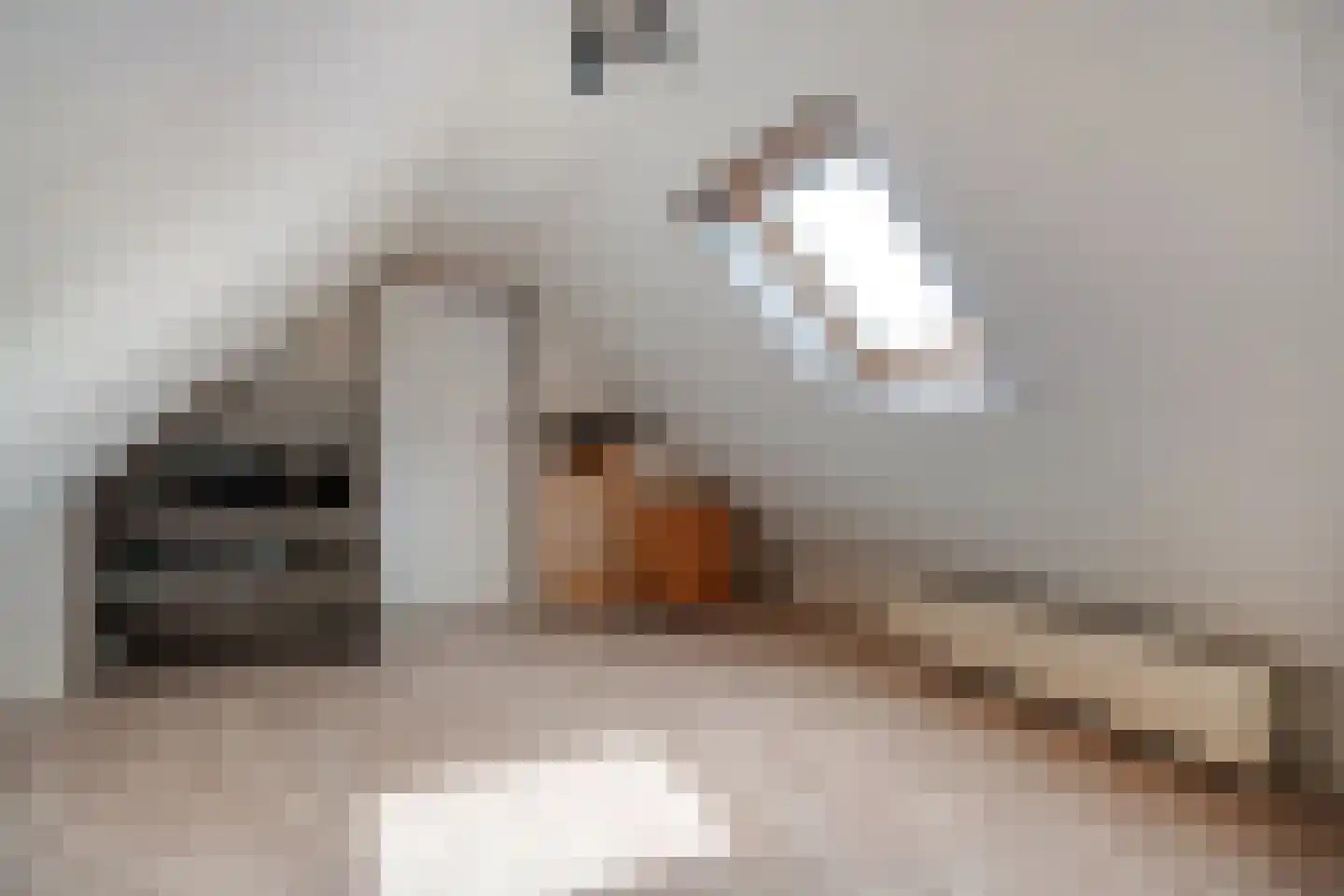 Brunstingerstraat 36 Beilen thumbnail 28
