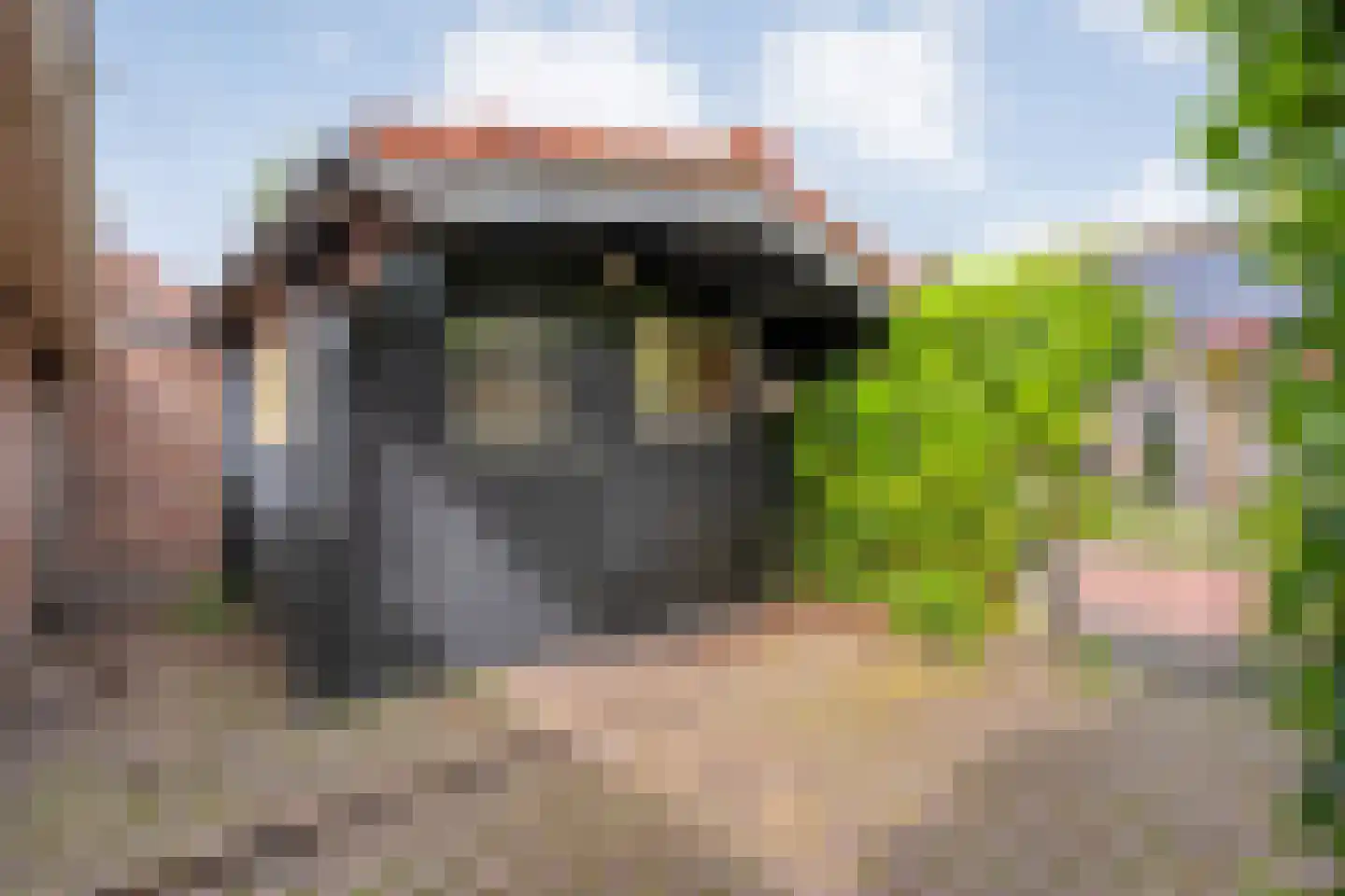Brunstingerstraat 36 Beilen thumbnail 33