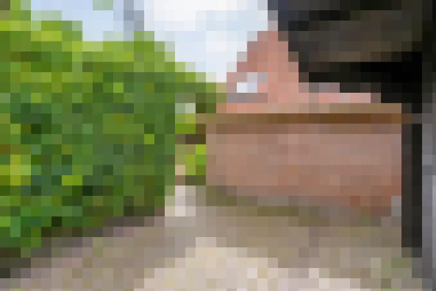 Brunstingerstraat 36 Beilen thumbnail 34