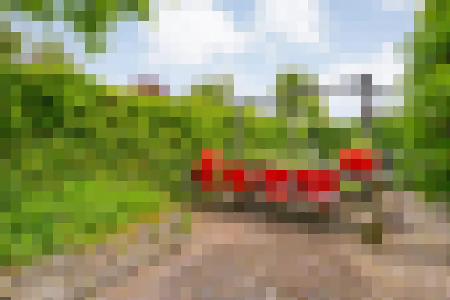 Brunstingerstraat 36 Beilen thumbnail 36