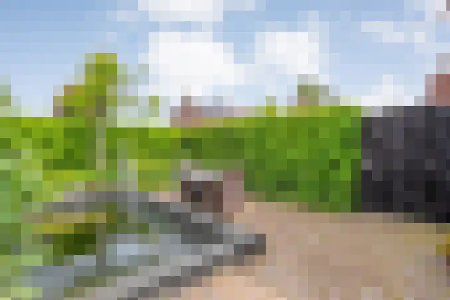 Brunstingerstraat 36 Beilen thumbnail 38