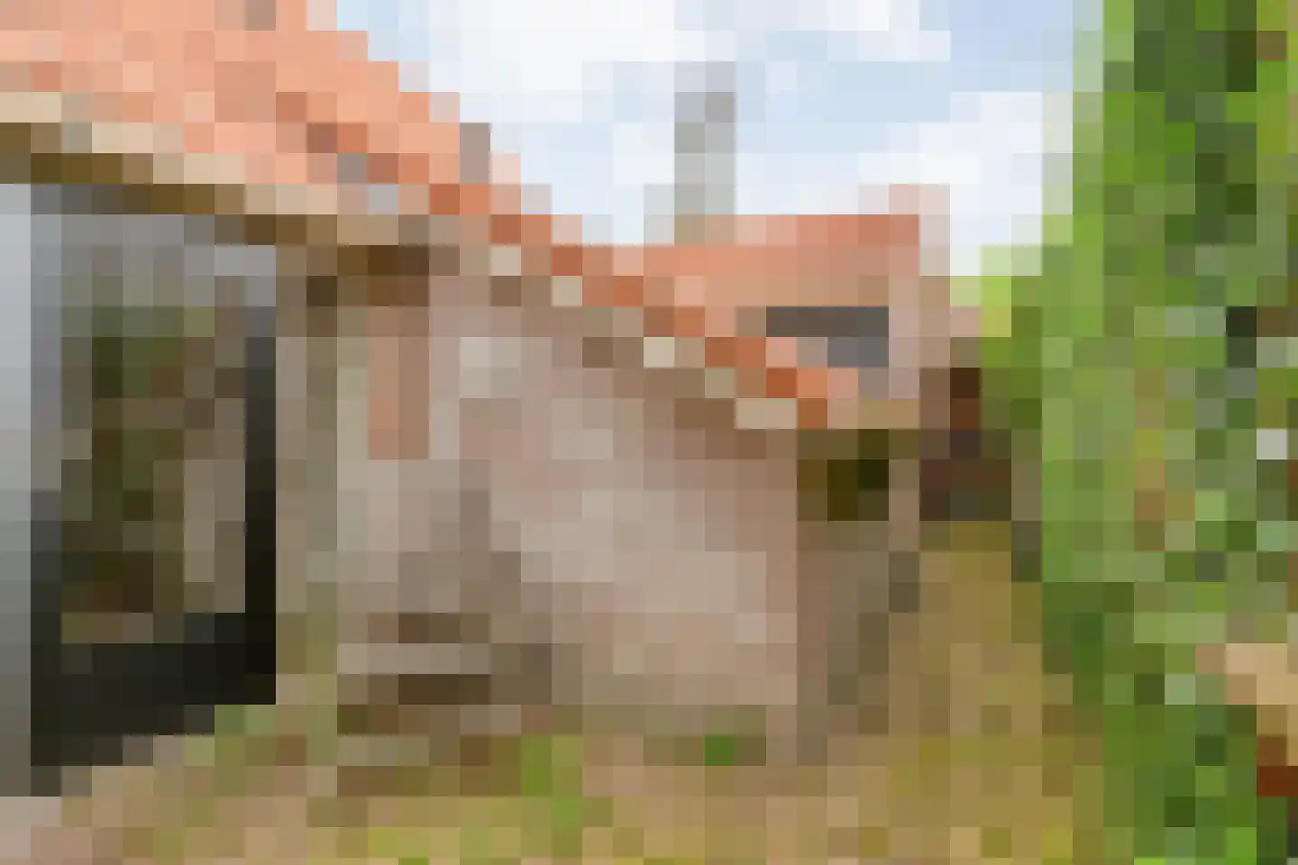 Brunstingerstraat 36 Beilen thumbnail 49