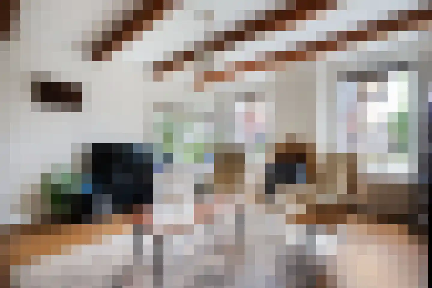 Brunstingerstraat 36 Beilen thumbnail 7