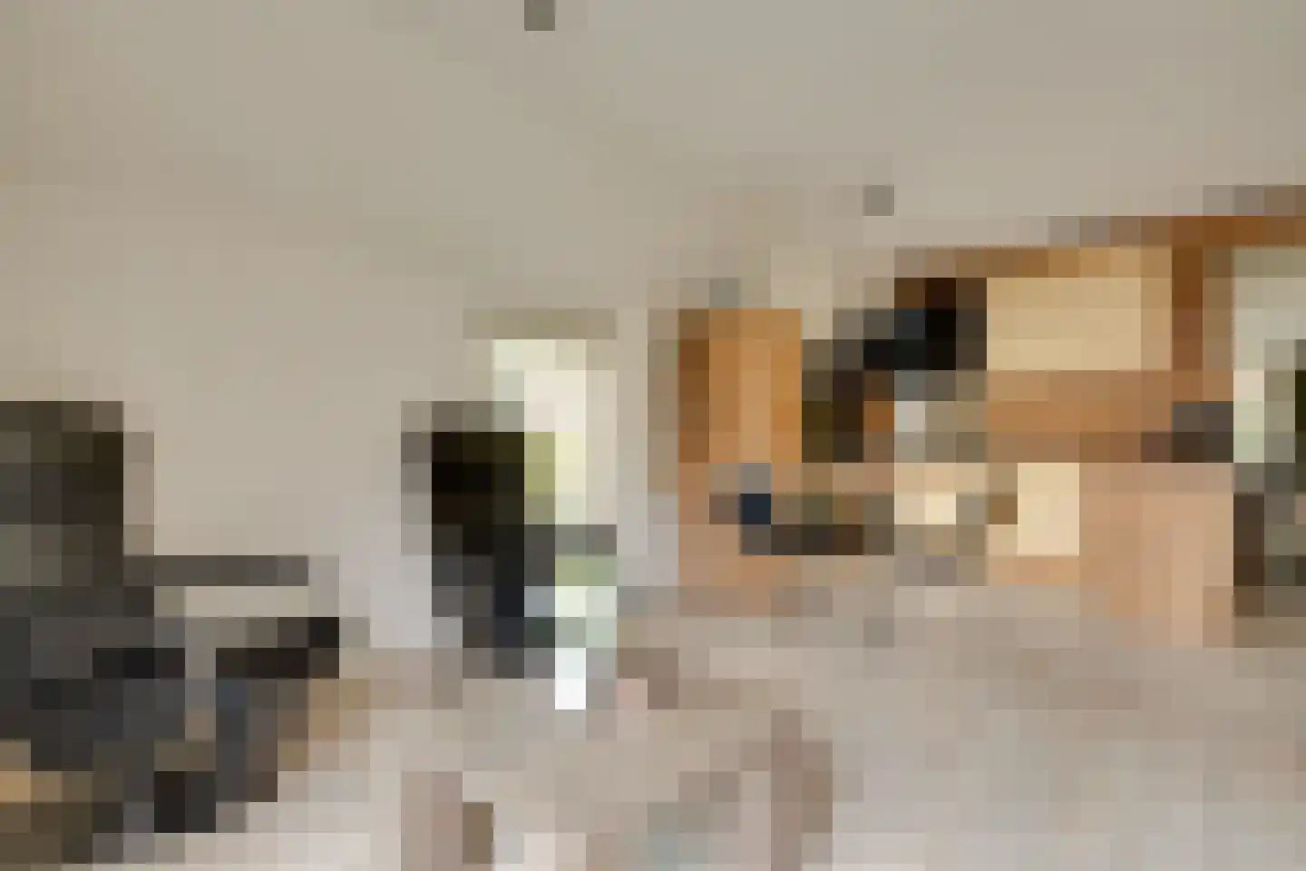 Brunstingerstraat 38 Beilen thumbnail 11