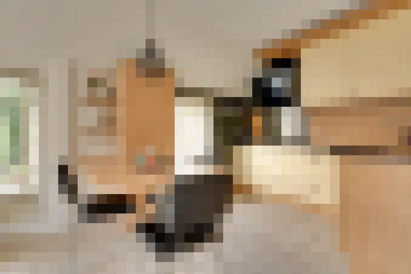 Brunstingerstraat 38 Beilen thumbnail 12