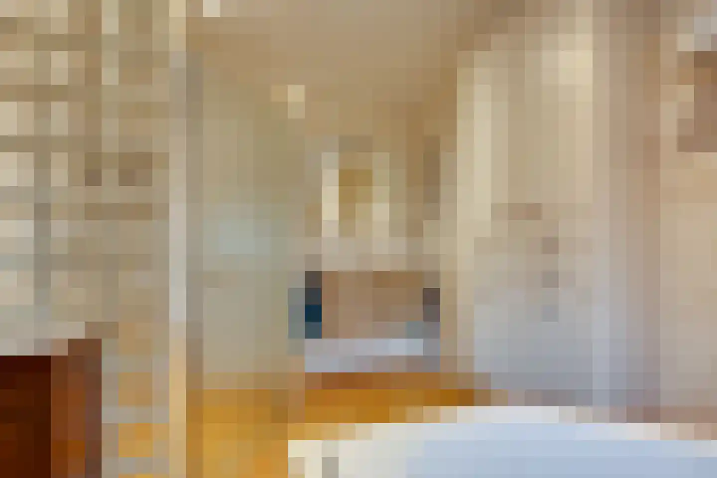 Brunstingerstraat 38 Beilen thumbnail 17