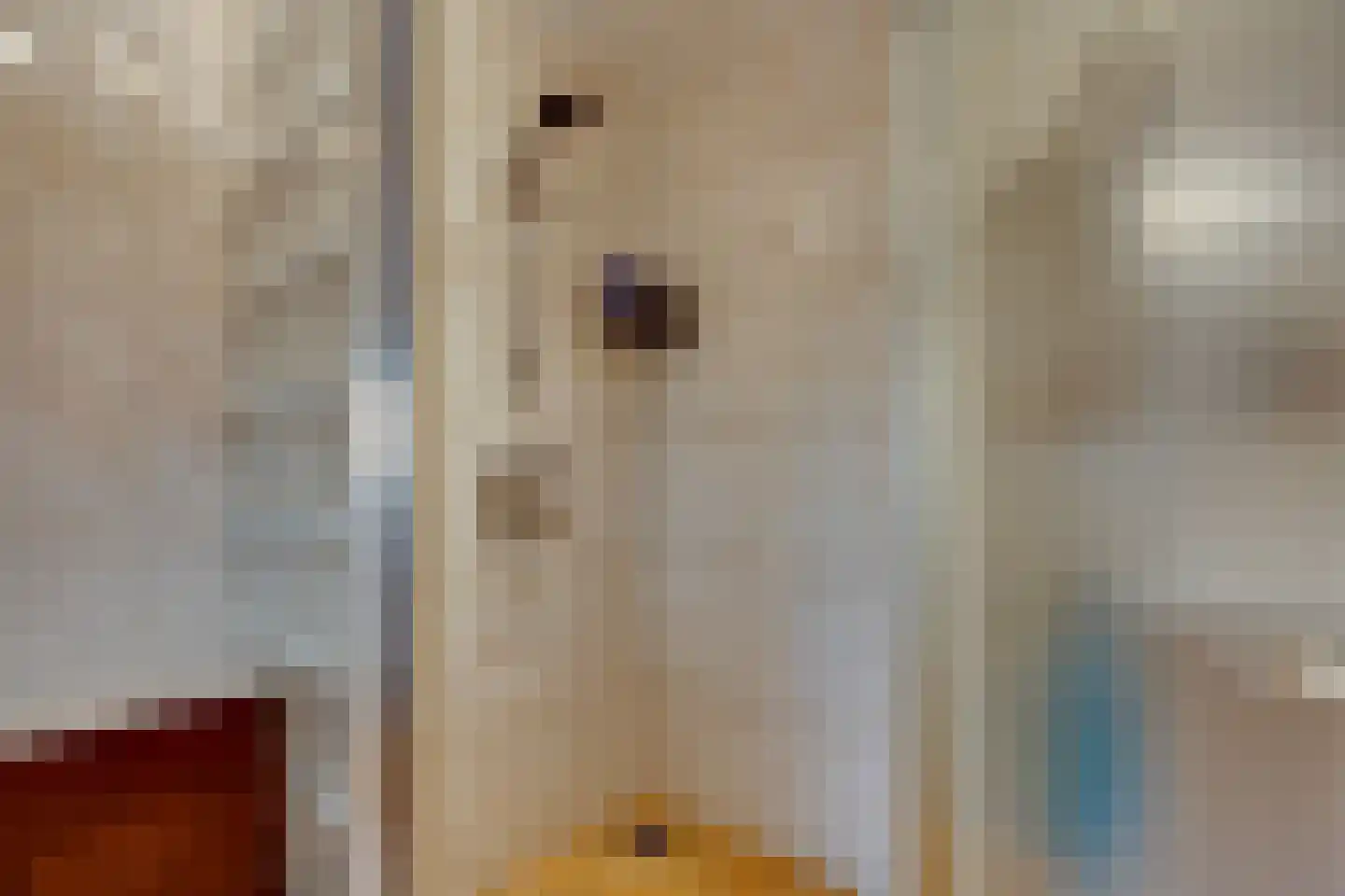 Brunstingerstraat 38 Beilen thumbnail 18
