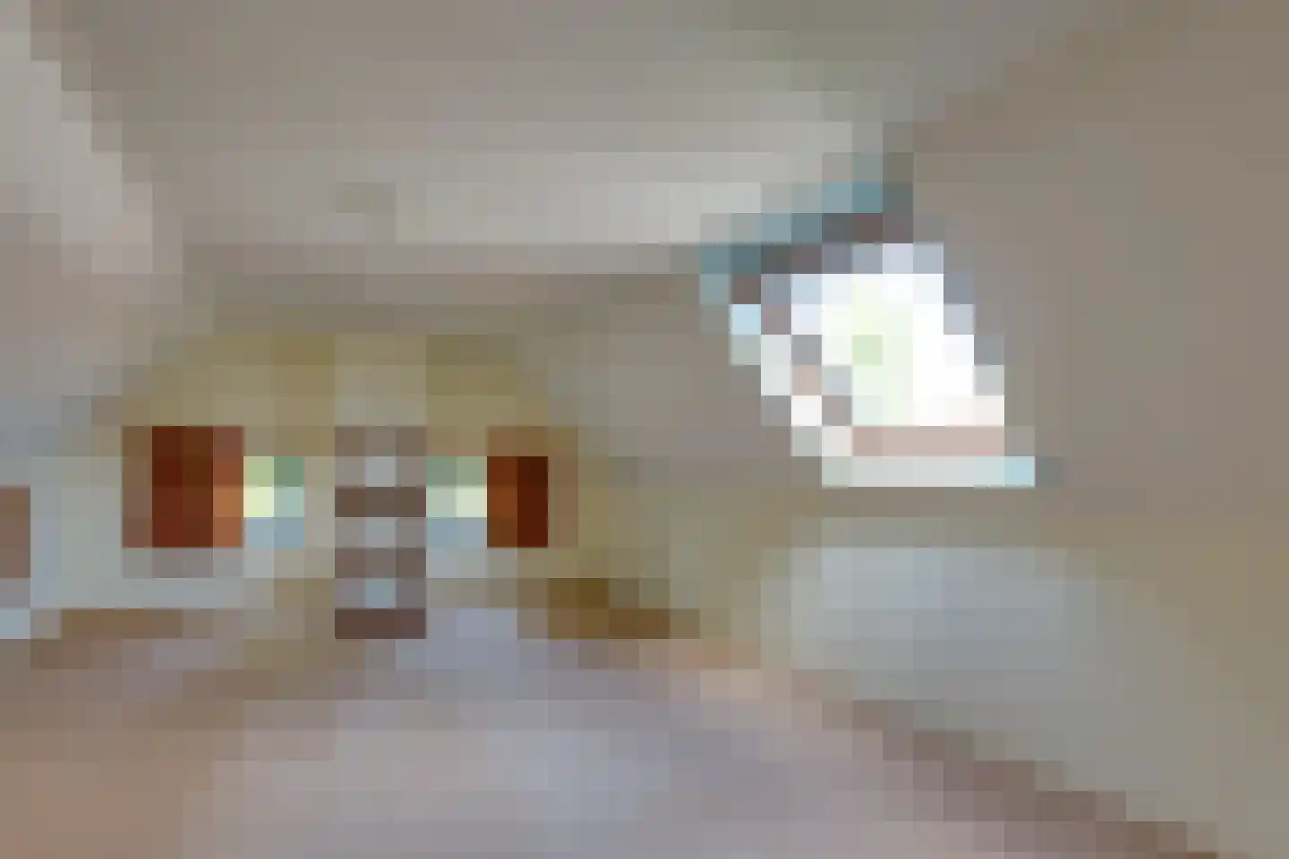 Brunstingerstraat 38 Beilen thumbnail 22
