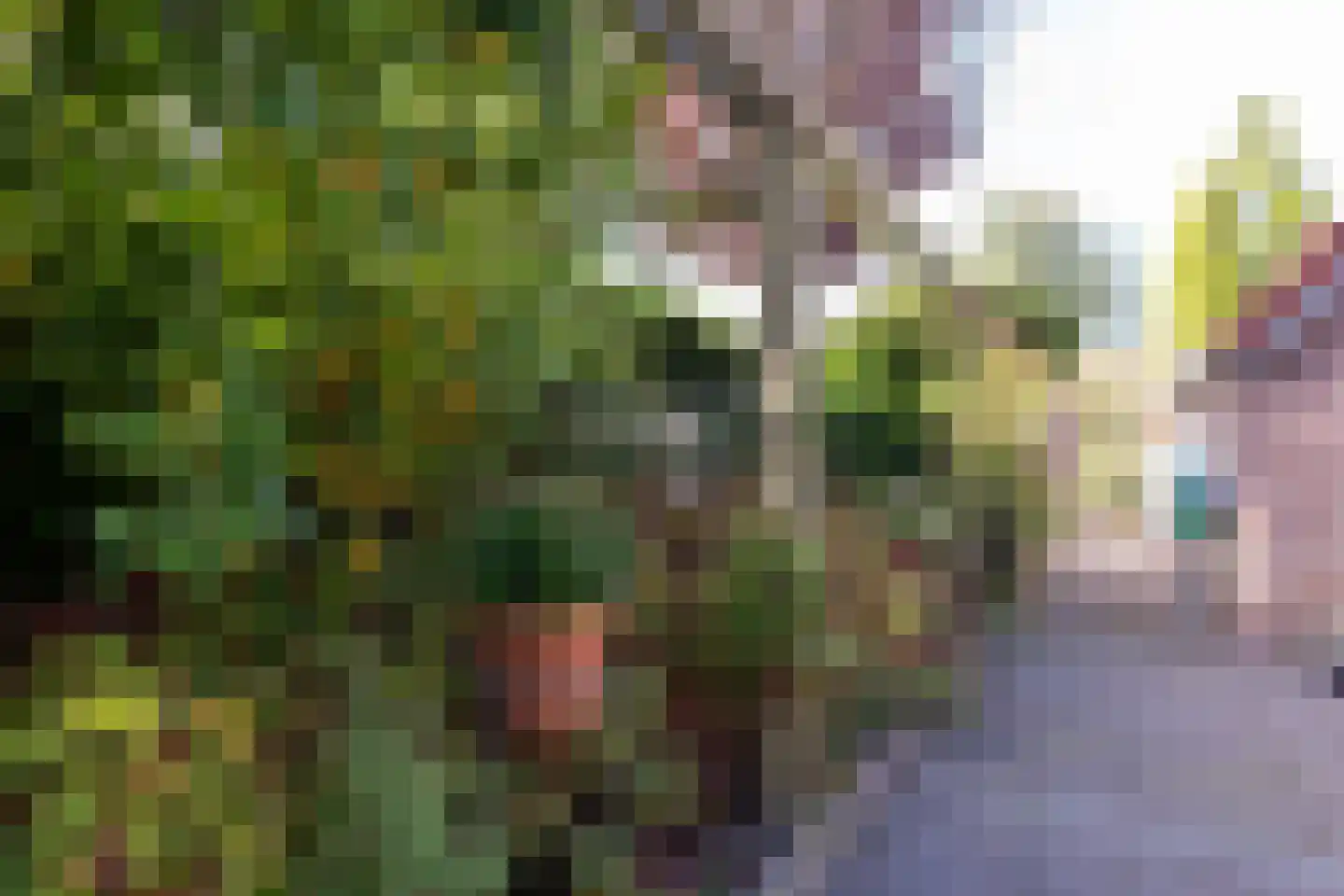 Brunstingerstraat 38 Beilen thumbnail 29