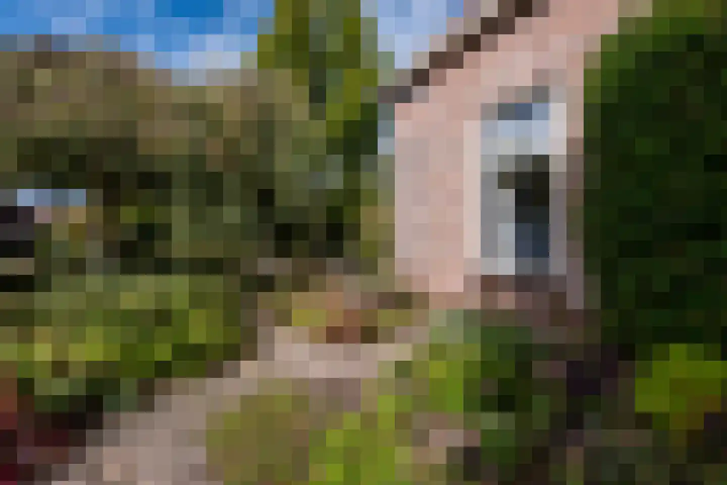 Brunstingerstraat 38 Beilen thumbnail 30