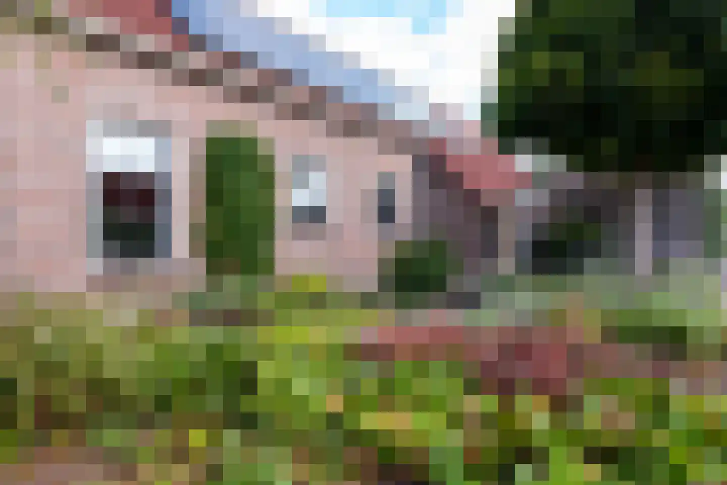 Brunstingerstraat 38 Beilen thumbnail 32