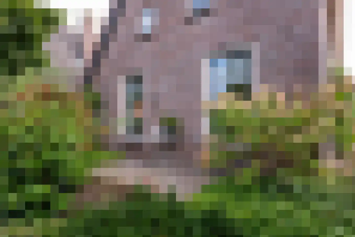 Brunstingerstraat 38 Beilen thumbnail 33
