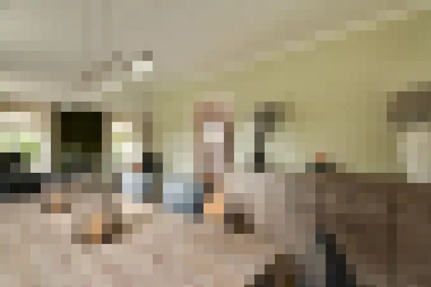 Brunstingerstraat 38 Beilen thumbnail 9