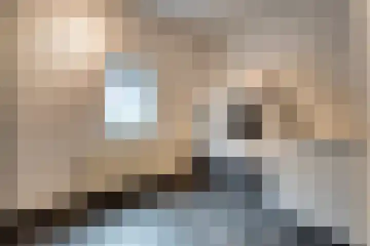 Brunstingerstraat 46 Beilen thumbnail 19