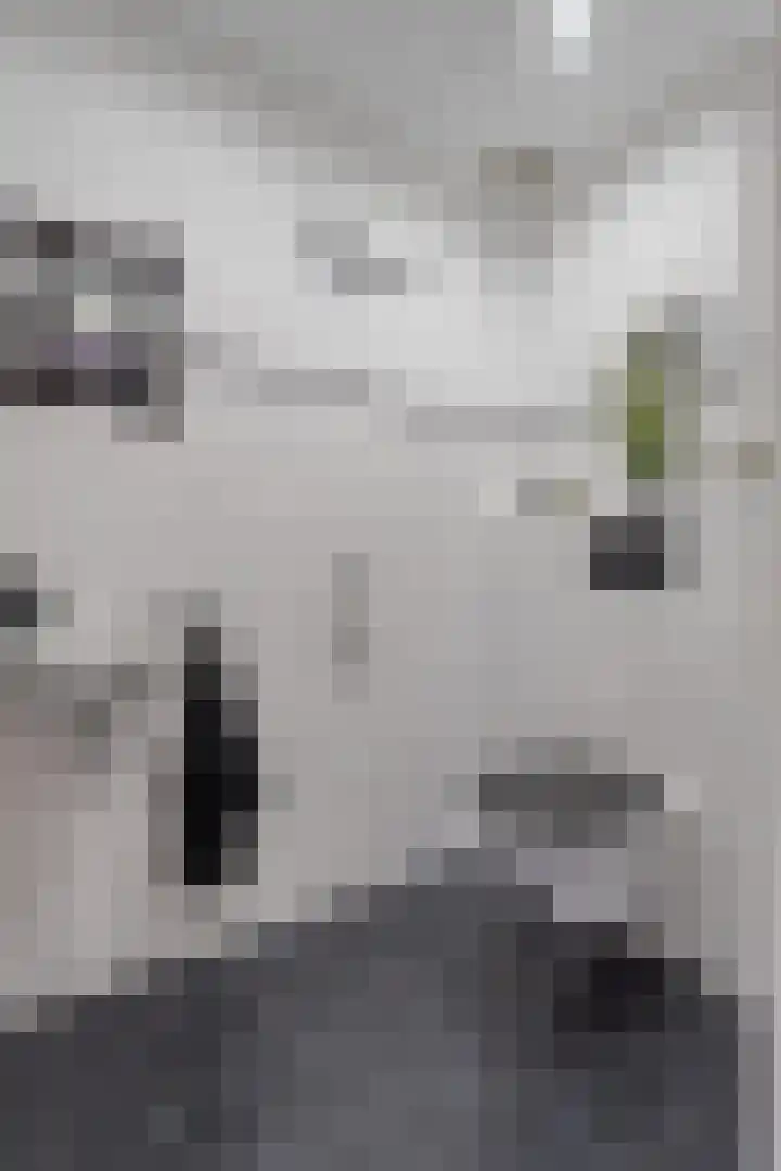 Brunstingerstraat 46 Beilen thumbnail 21