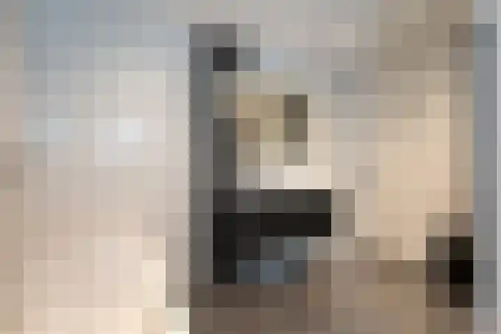 Brunstingerstraat 46 Beilen thumbnail 26