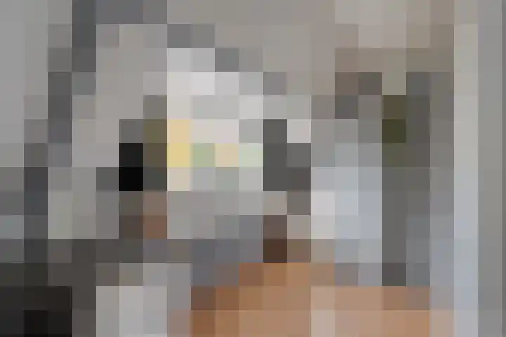 Brunstingerstraat 46 Beilen thumbnail 36