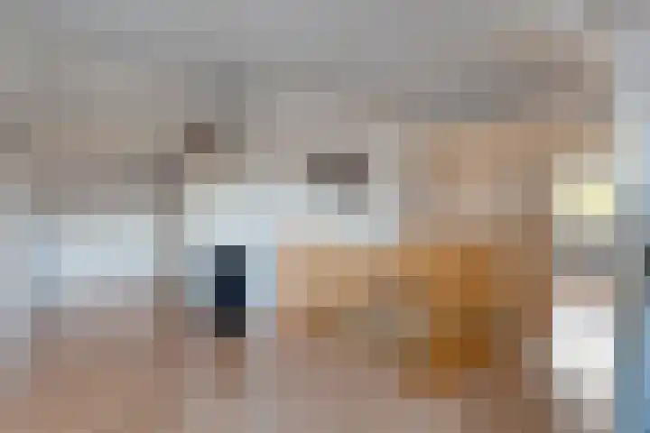 Brunstingerstraat 46 Beilen thumbnail 38