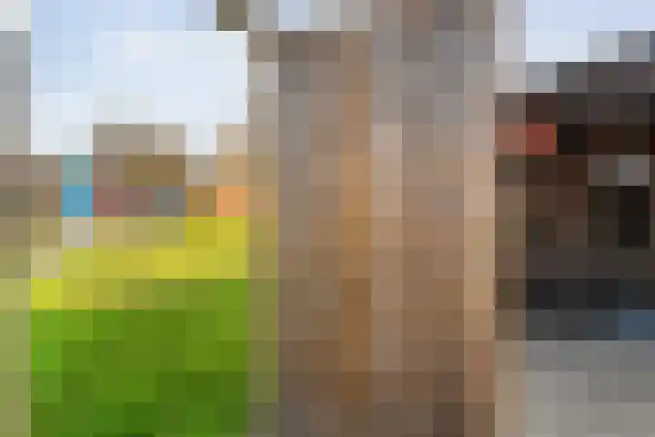 Brunstingerstraat 46 Beilen thumbnail 57