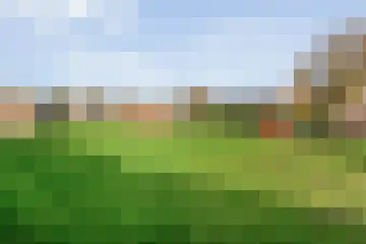 Brunstingerstraat 46 Beilen thumbnail 58