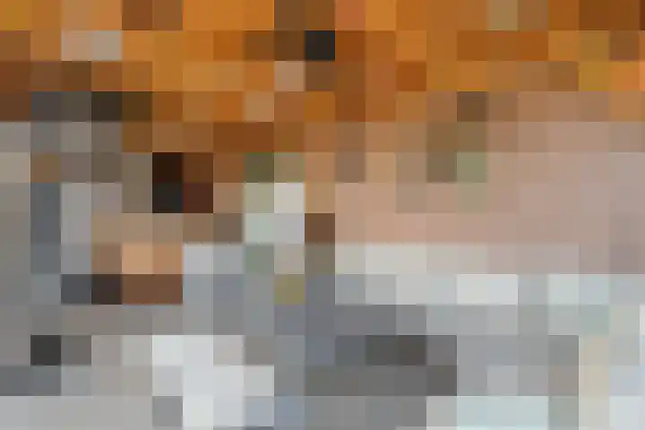 Brunstingerstraat 46 Beilen thumbnail 59