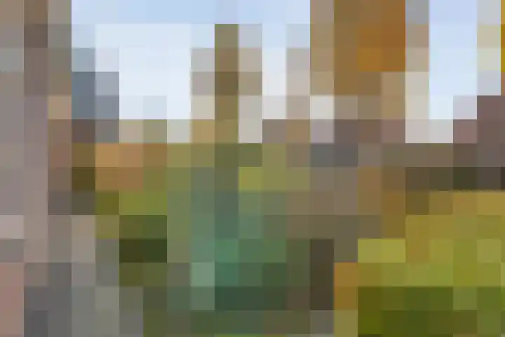 Brunstingerstraat 46 Beilen thumbnail 64