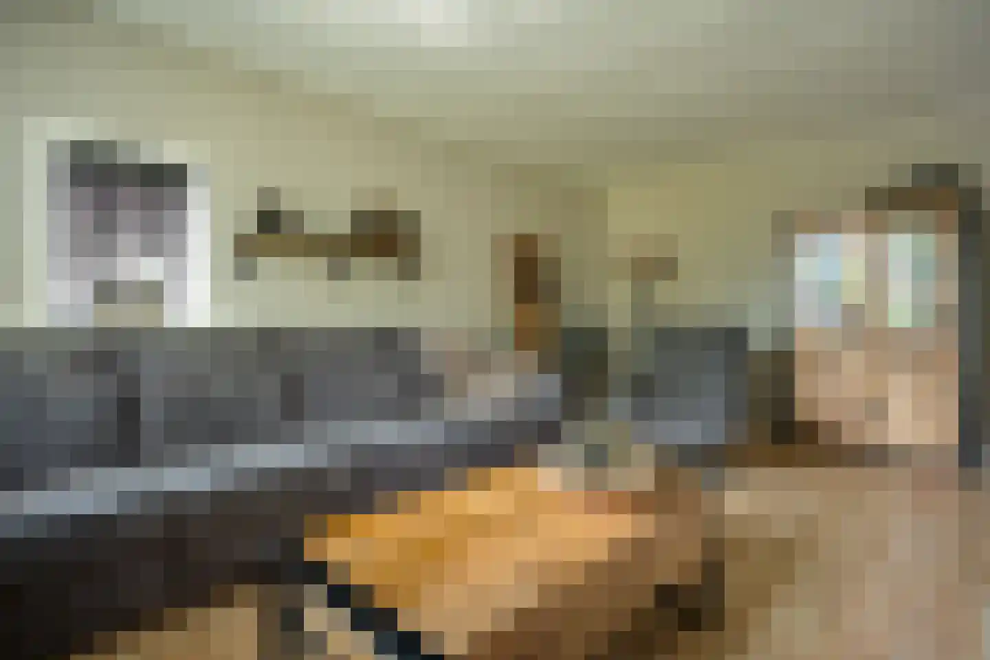 Brunstingerstraat 59 Beilen thumbnail 6