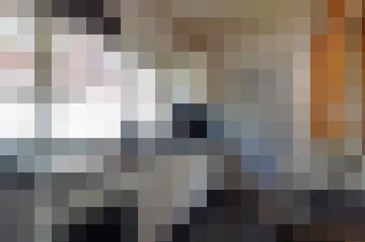 Brunstingerstraat 8 Beilen thumbnail 20