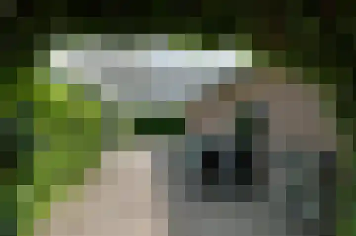 Brunstingerstraat 8 Beilen thumbnail 8