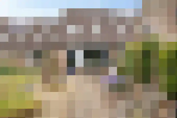 Bruntingerbrink 144 Emmen thumbnail 21