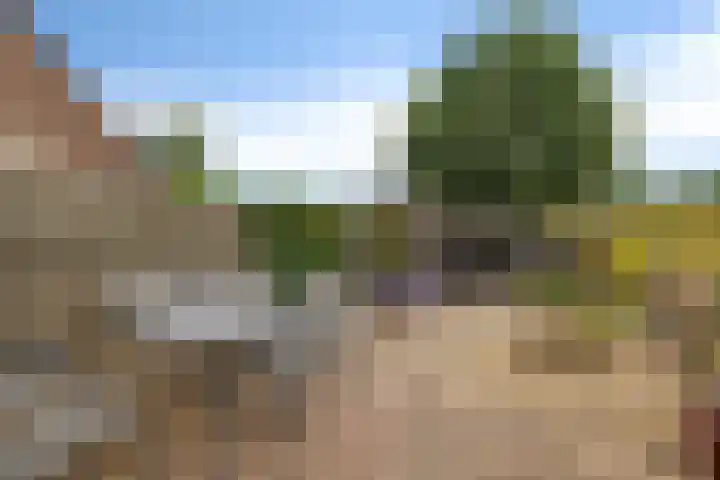 Bruntingerbrink 144 Emmen thumbnail 22