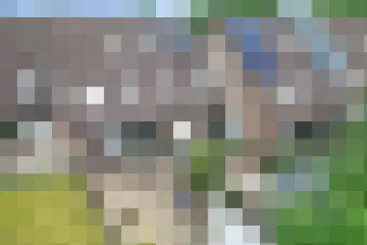 Bruntingerbrink 144 Emmen thumbnail 25