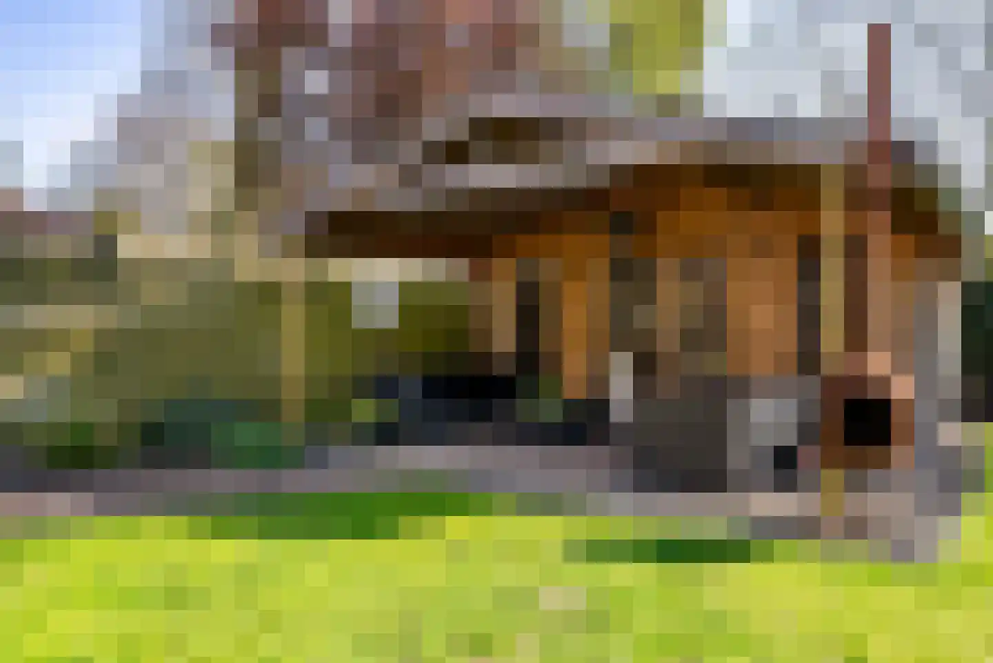 Bruntingerbrink 156 Emmen thumbnail 34