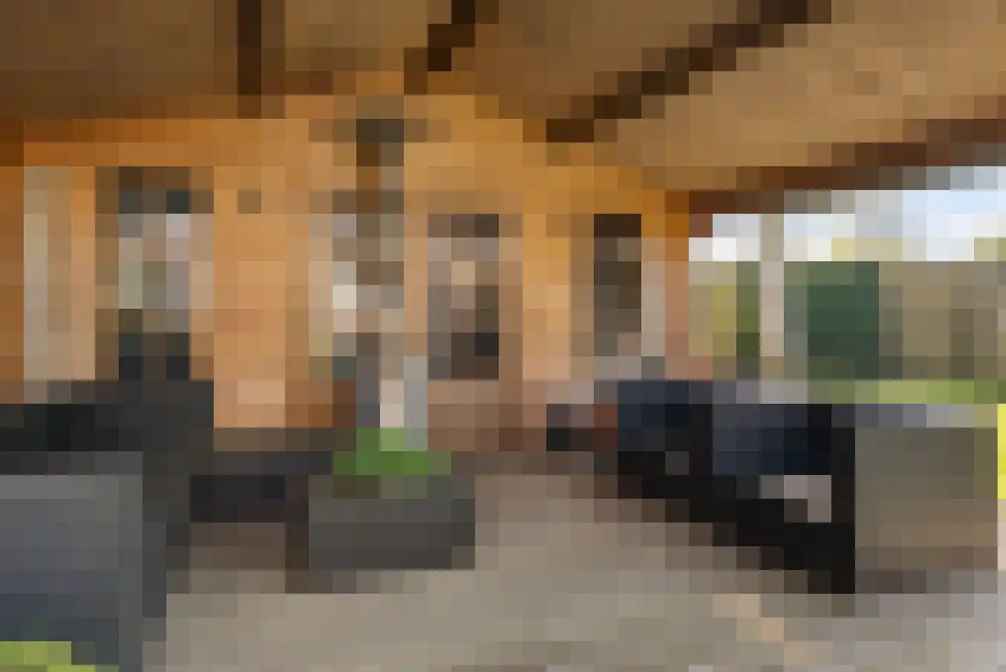 Bruntingerbrink 156 Emmen thumbnail 35