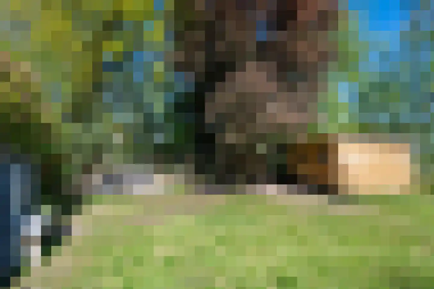 Bruntingerbrink 158 Emmen thumbnail 23