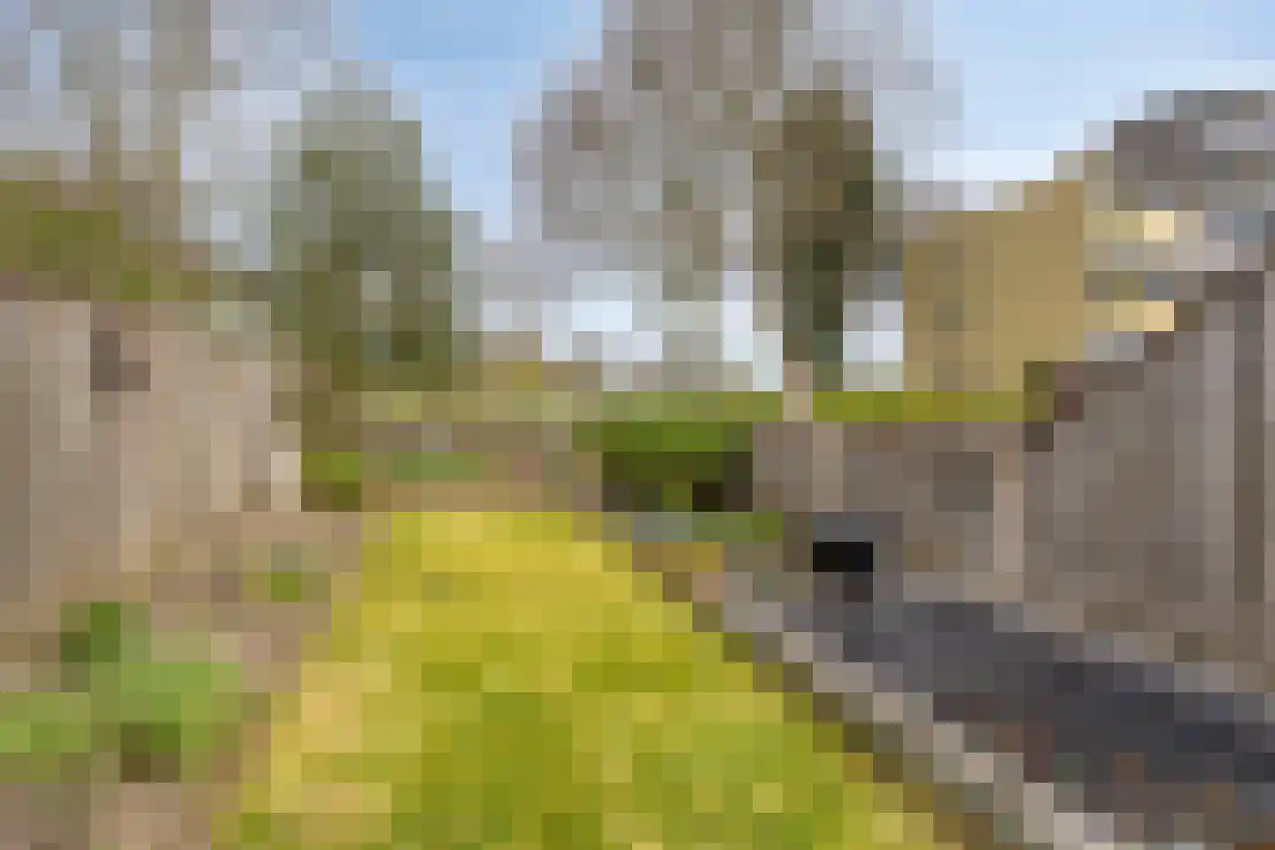 Bruntingerbrink 65 Emmen thumbnail 27
