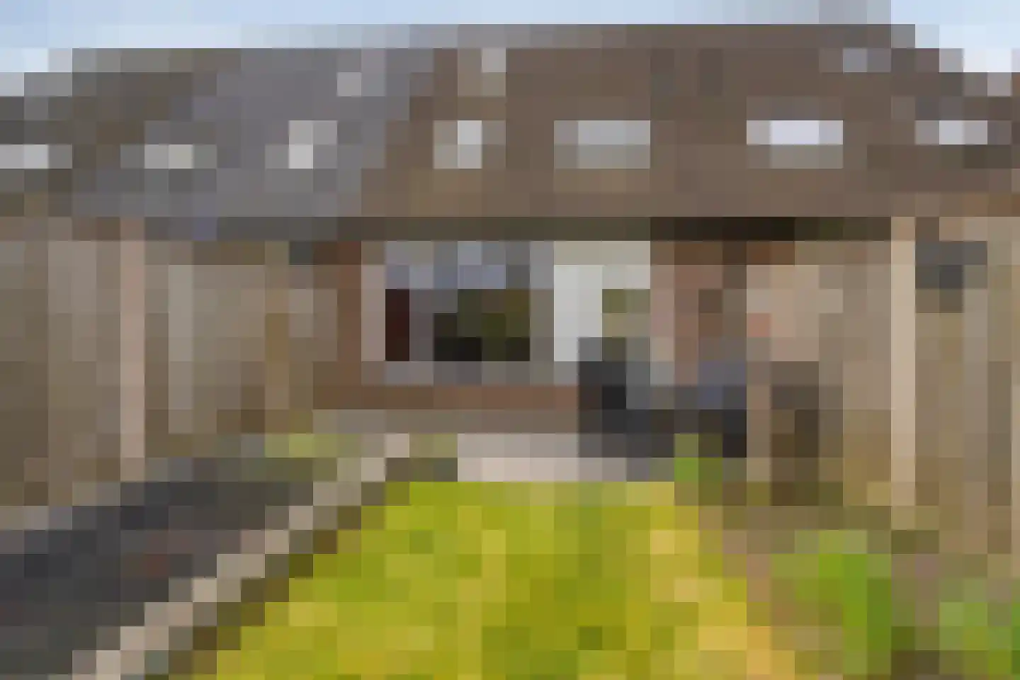 Bruntingerbrink 65 Emmen thumbnail 29